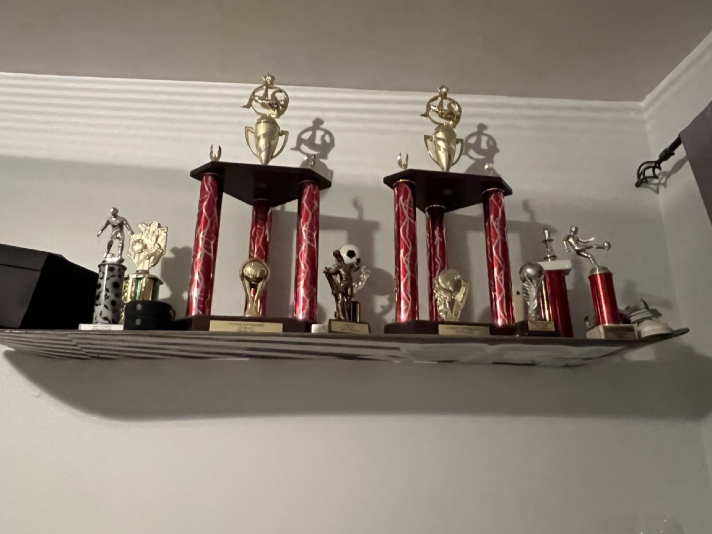 Snowboard Shelf - photo 5