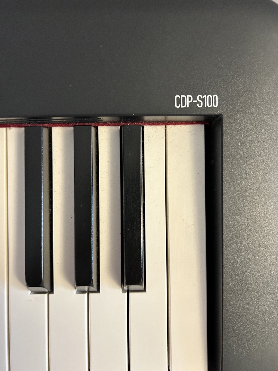 Casio CDP-S100 Digital Piano - photo 3