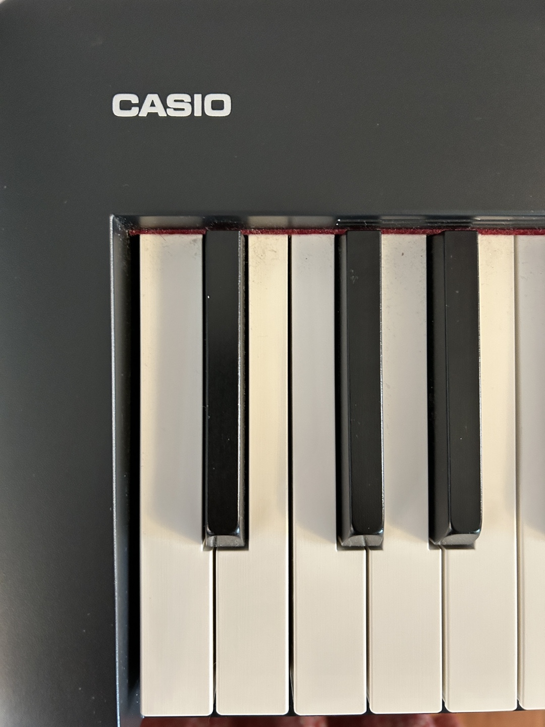Casio CDP-S100 Digital Piano - photo 2