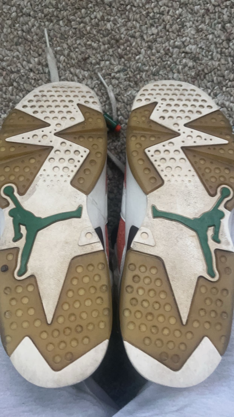 Air Jordan 6 gatorade like mike white