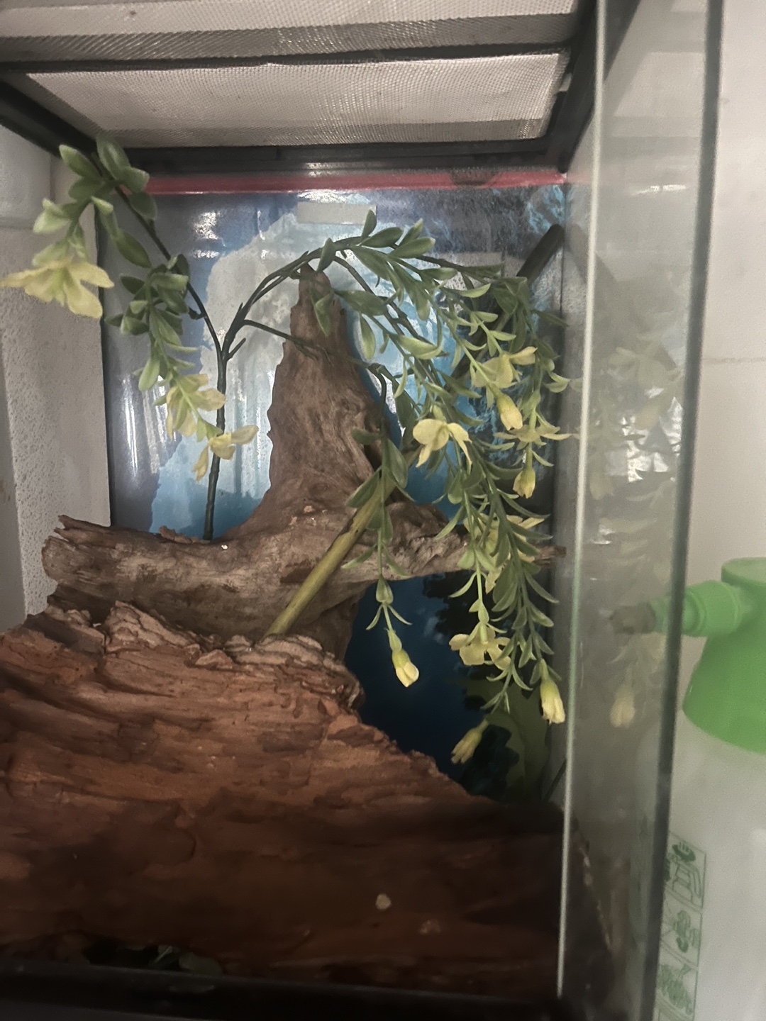 Small reptile enclosure - photo 2