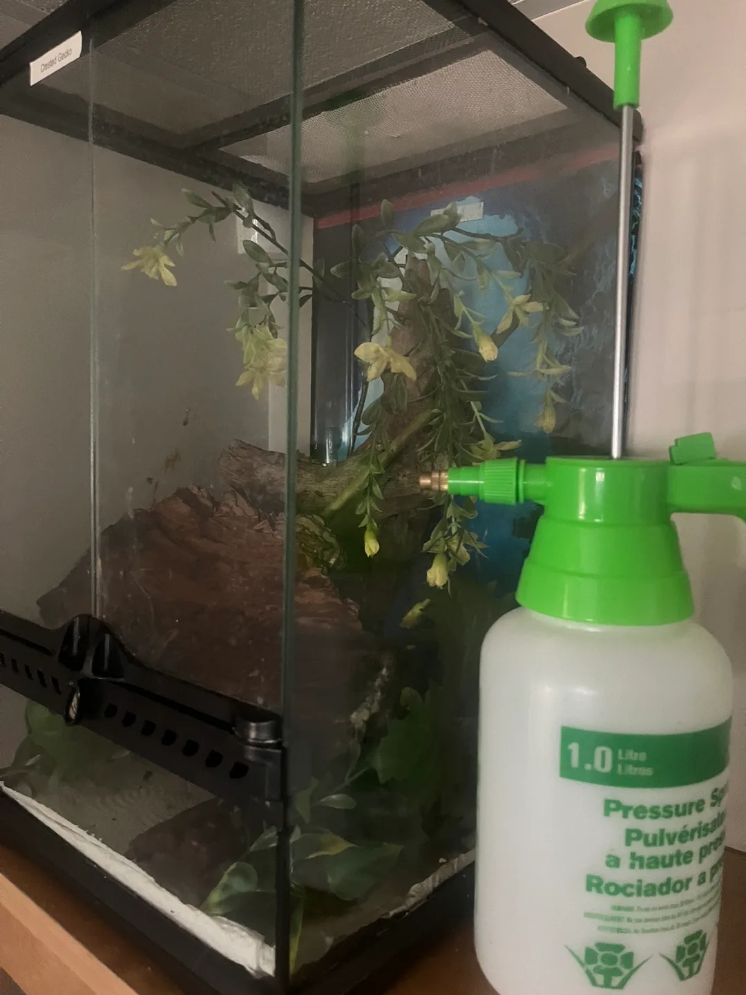 Small reptile enclosure image indicator(3)