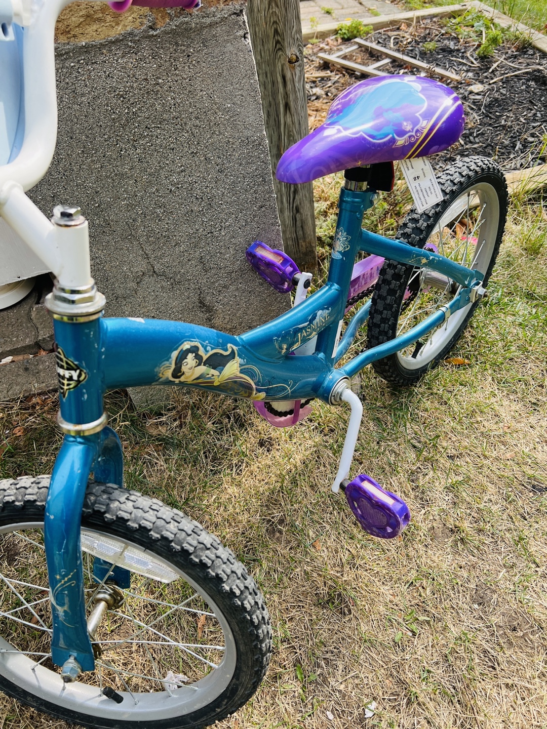 Jasmine Disney Bike - photo 2