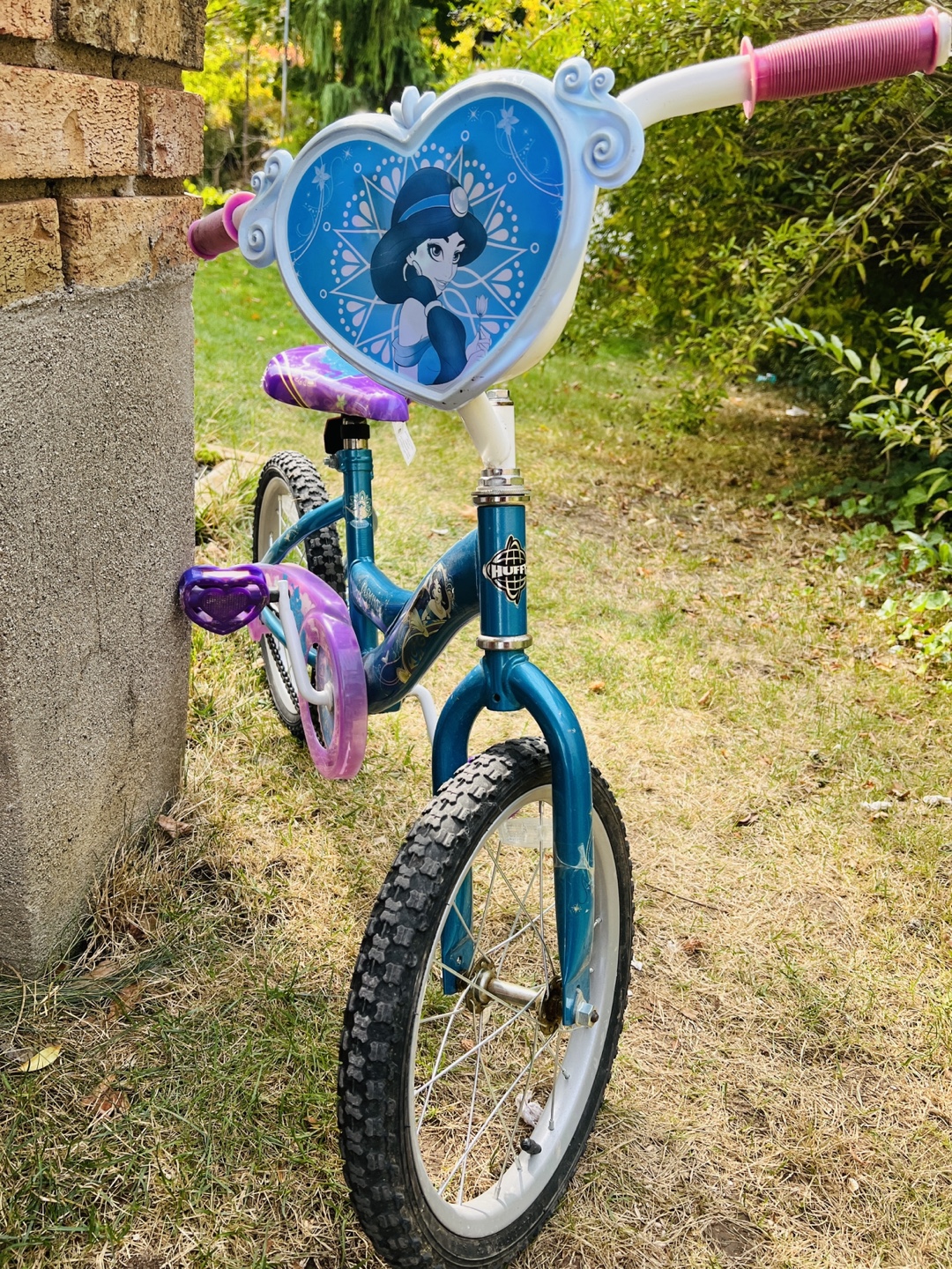 Jasmine Disney Bike - photo 3