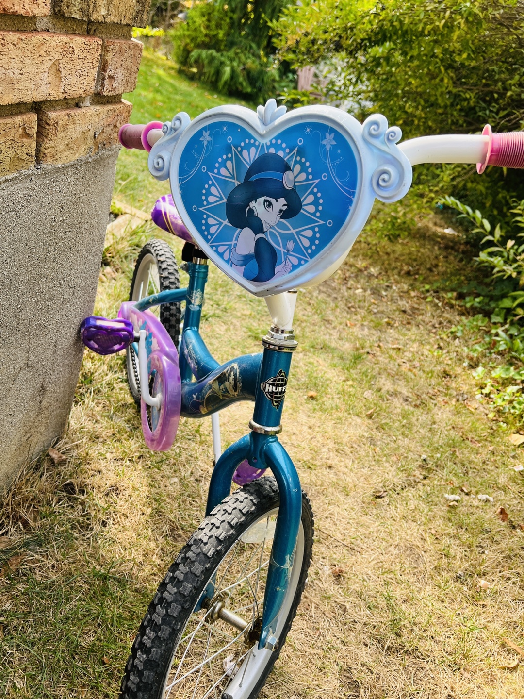 Jasmine Disney Bike