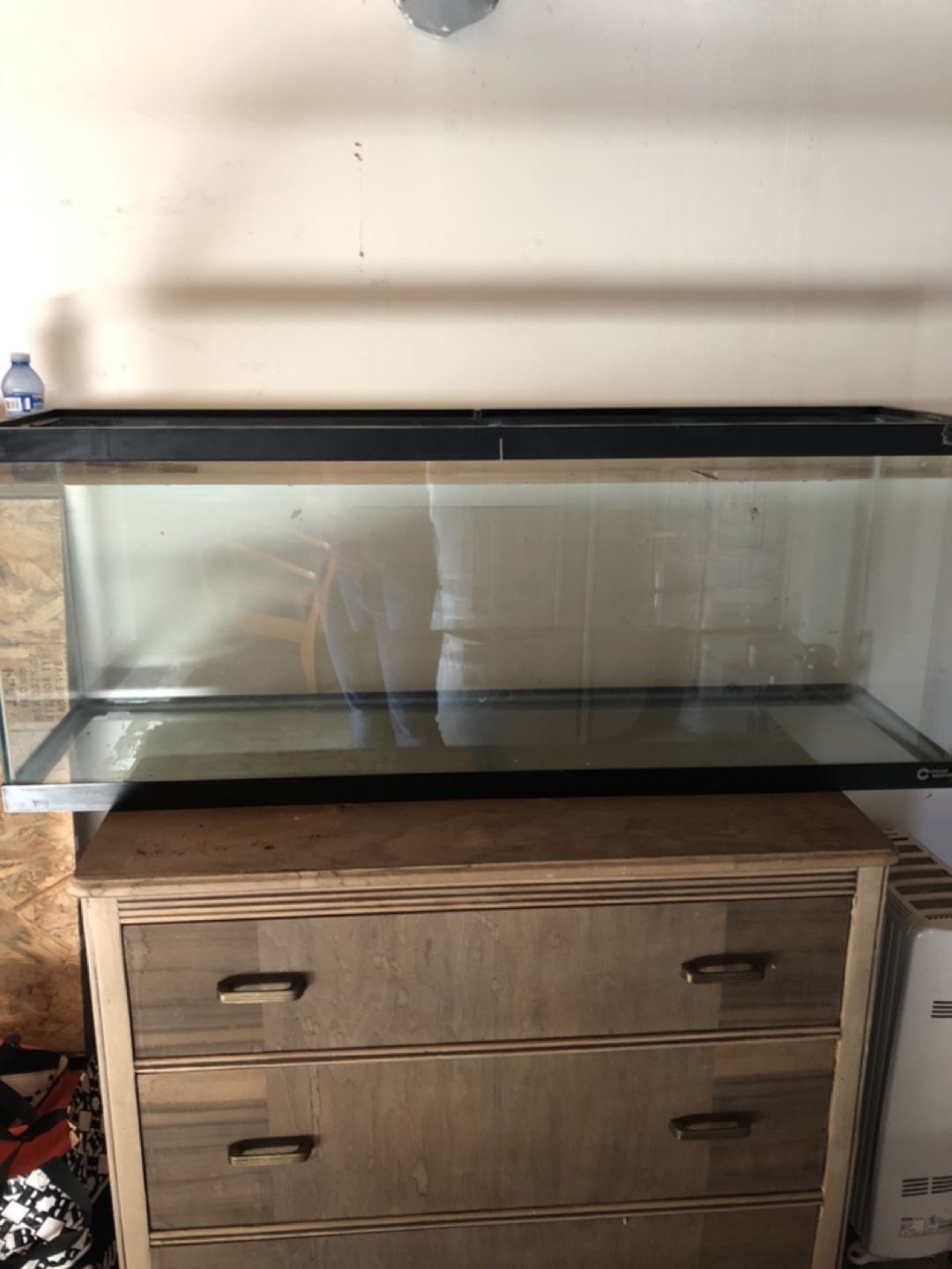 Fish Tank