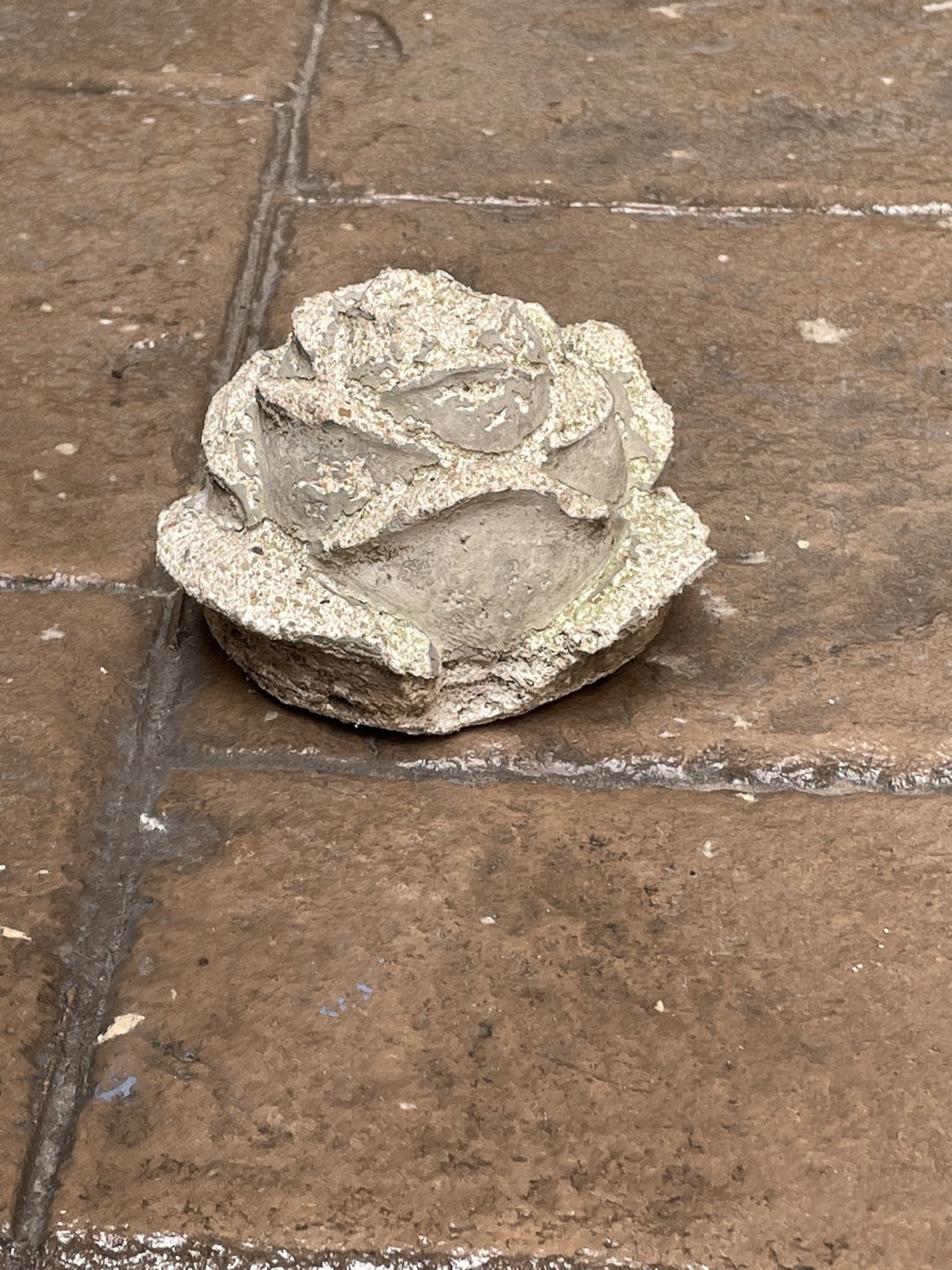 Stone Rose
