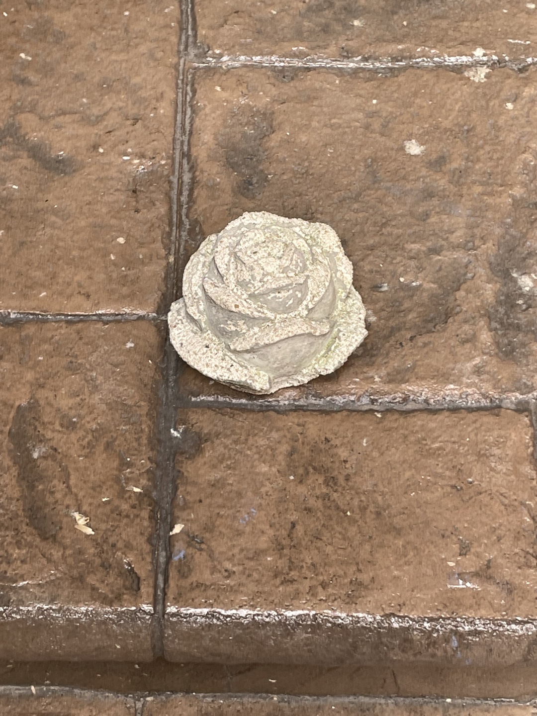 Stone Rose - photo 2