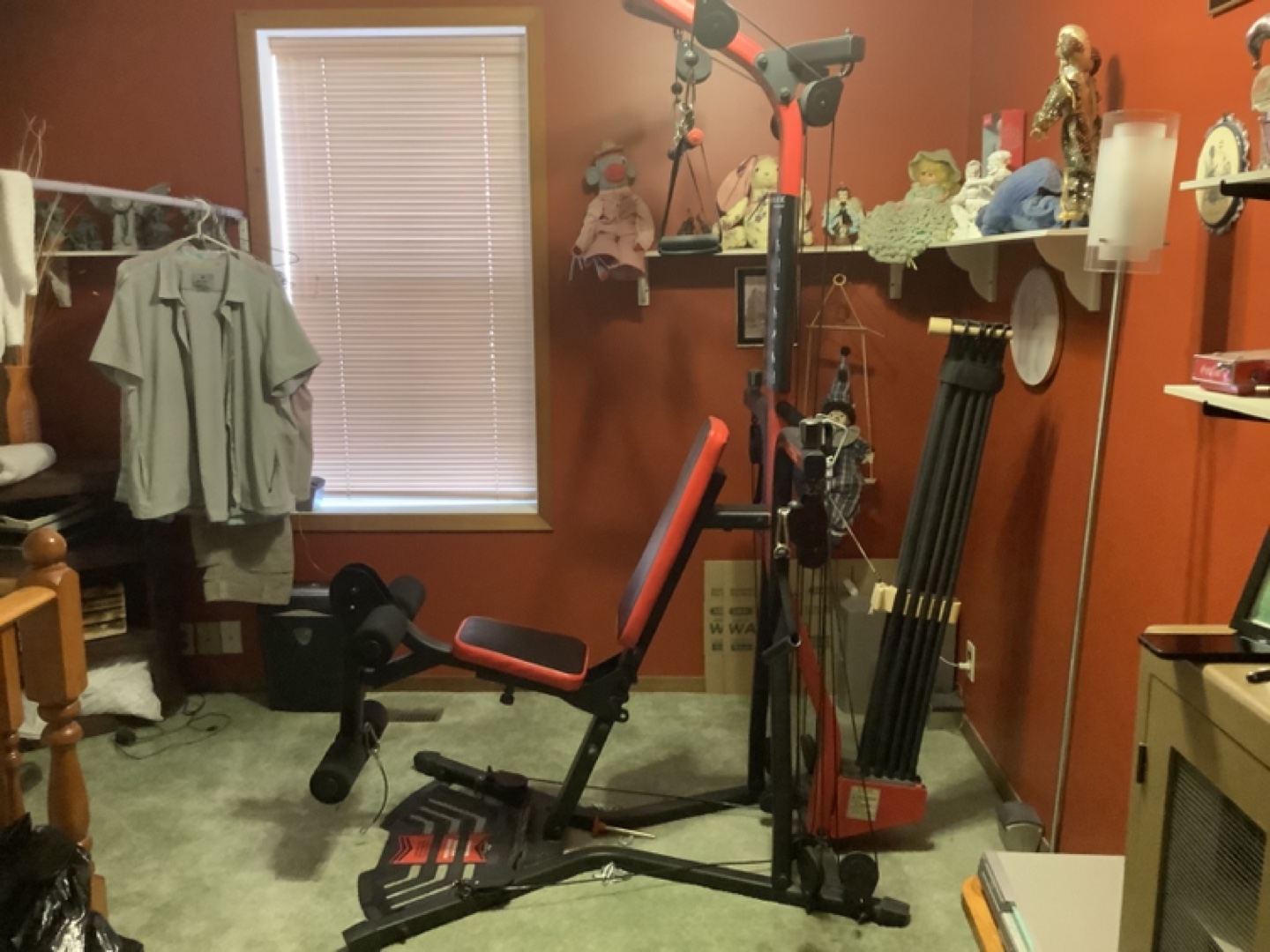 Bowflex Xtreme 2 SE Home Gym - photo 2