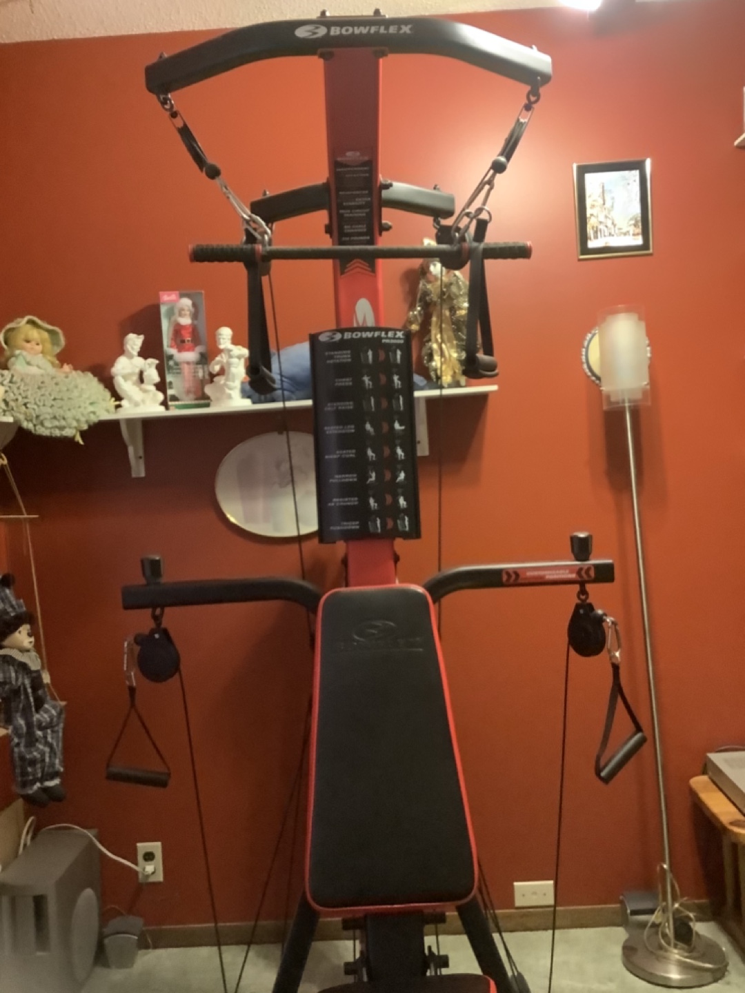 Bowflex Xtreme 2 SE Home Gym - photo 3