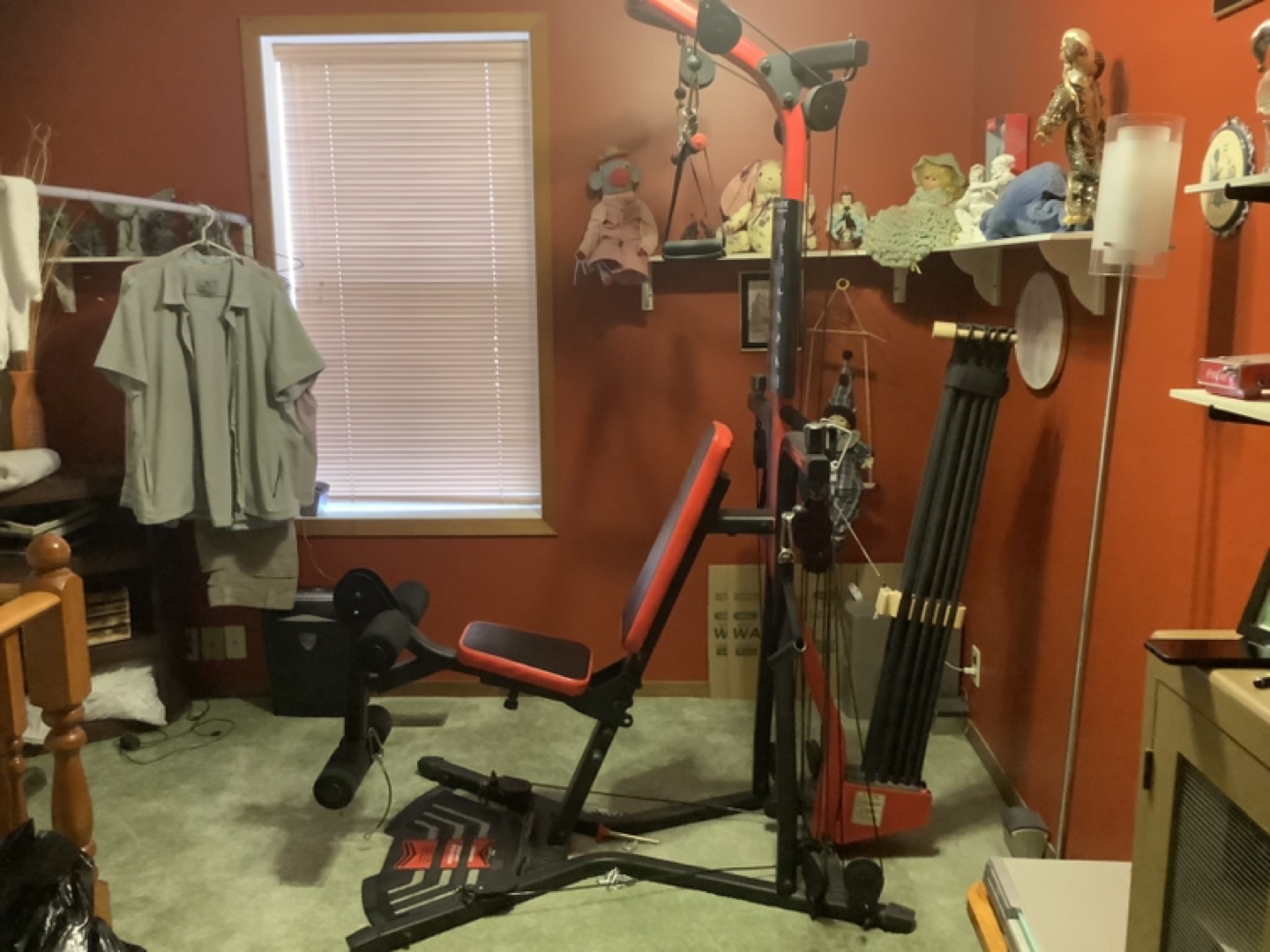 Bowflex Xtreme 2 SE Home Gym