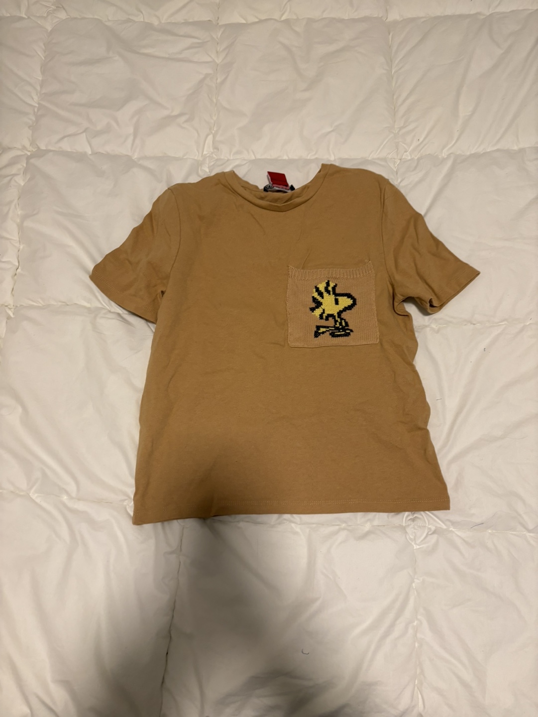 Zara Peanuts T-Shirt