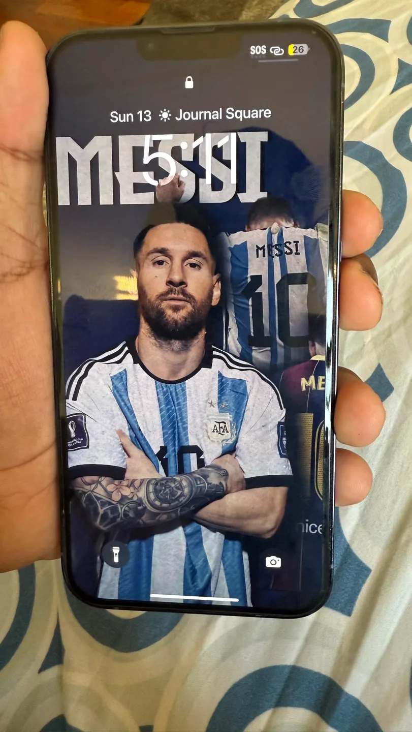 iPhone 13 Pro Max image indicator(2)