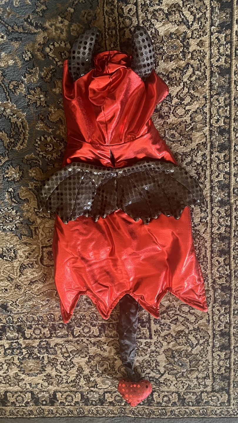 Halloween Dog Costume 🐶 - photo 3