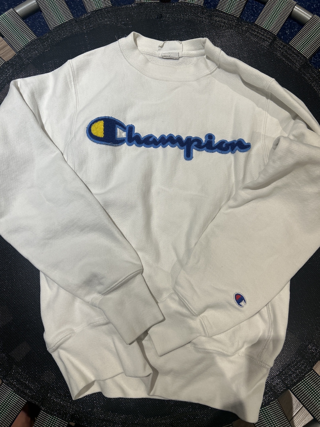 Champion Sweatshirt