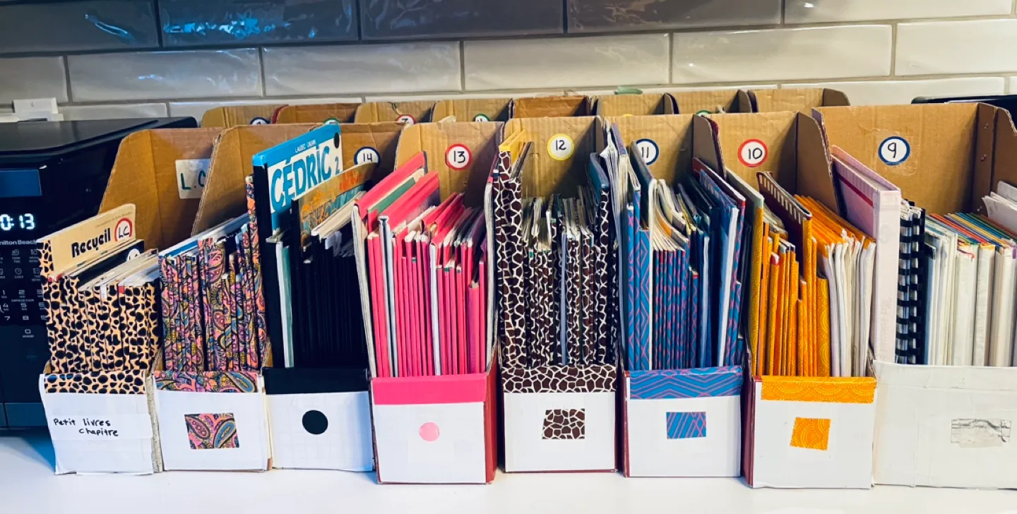 Over 500 FRENCH Reading Books/ DIFFERENT LEVELS image indicator(4)