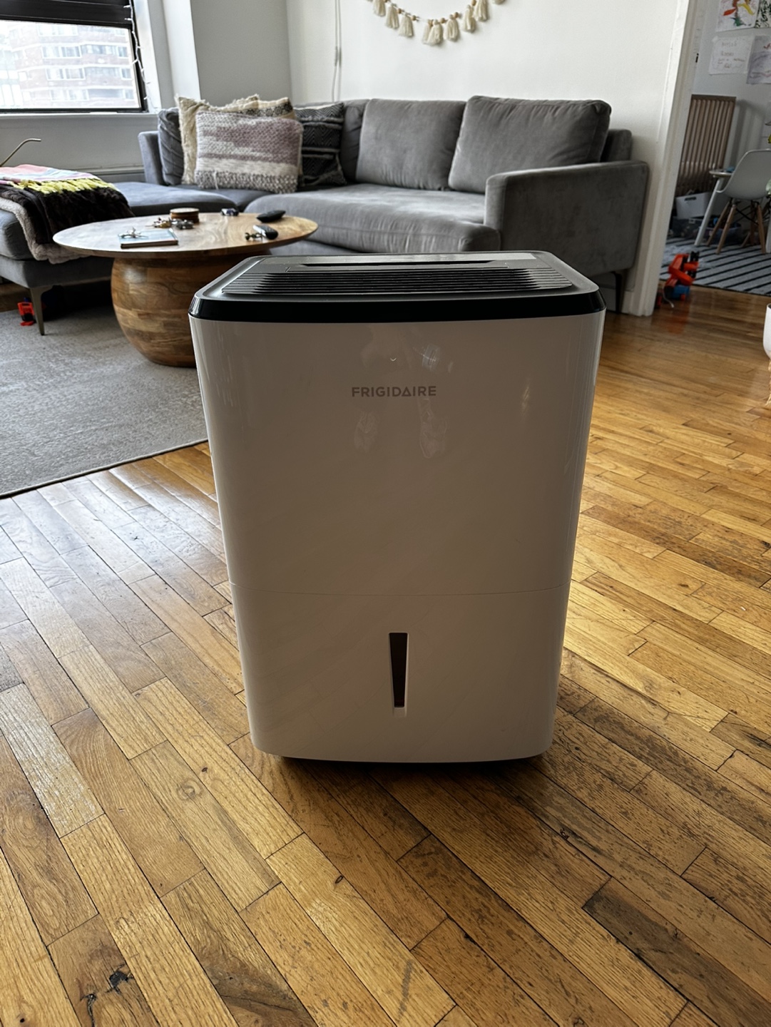 Frigidaire Dehumidifier