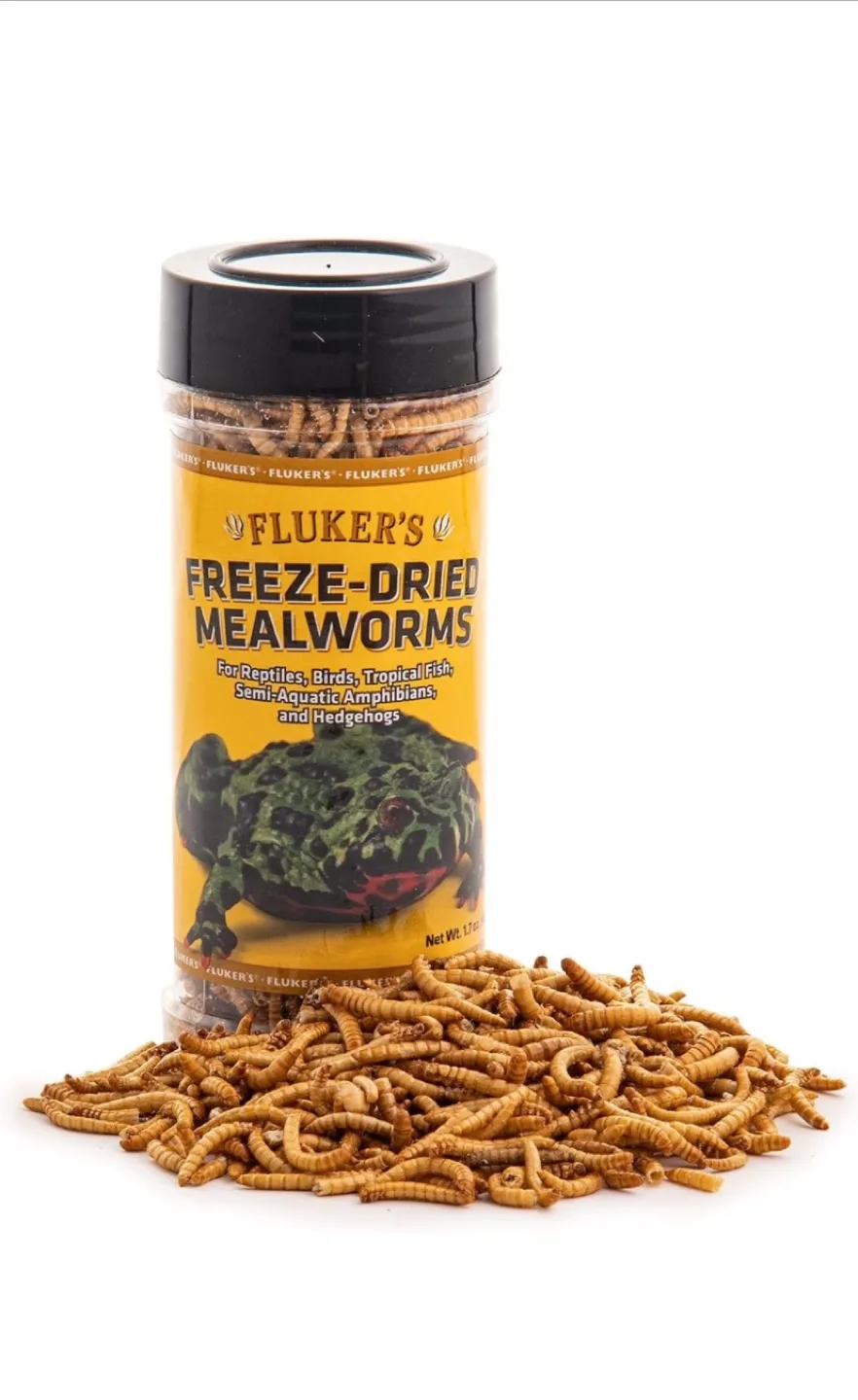 ‼️MUST-GO‼️ Fluker's Freeze Dried Mealworms image indicator(4)