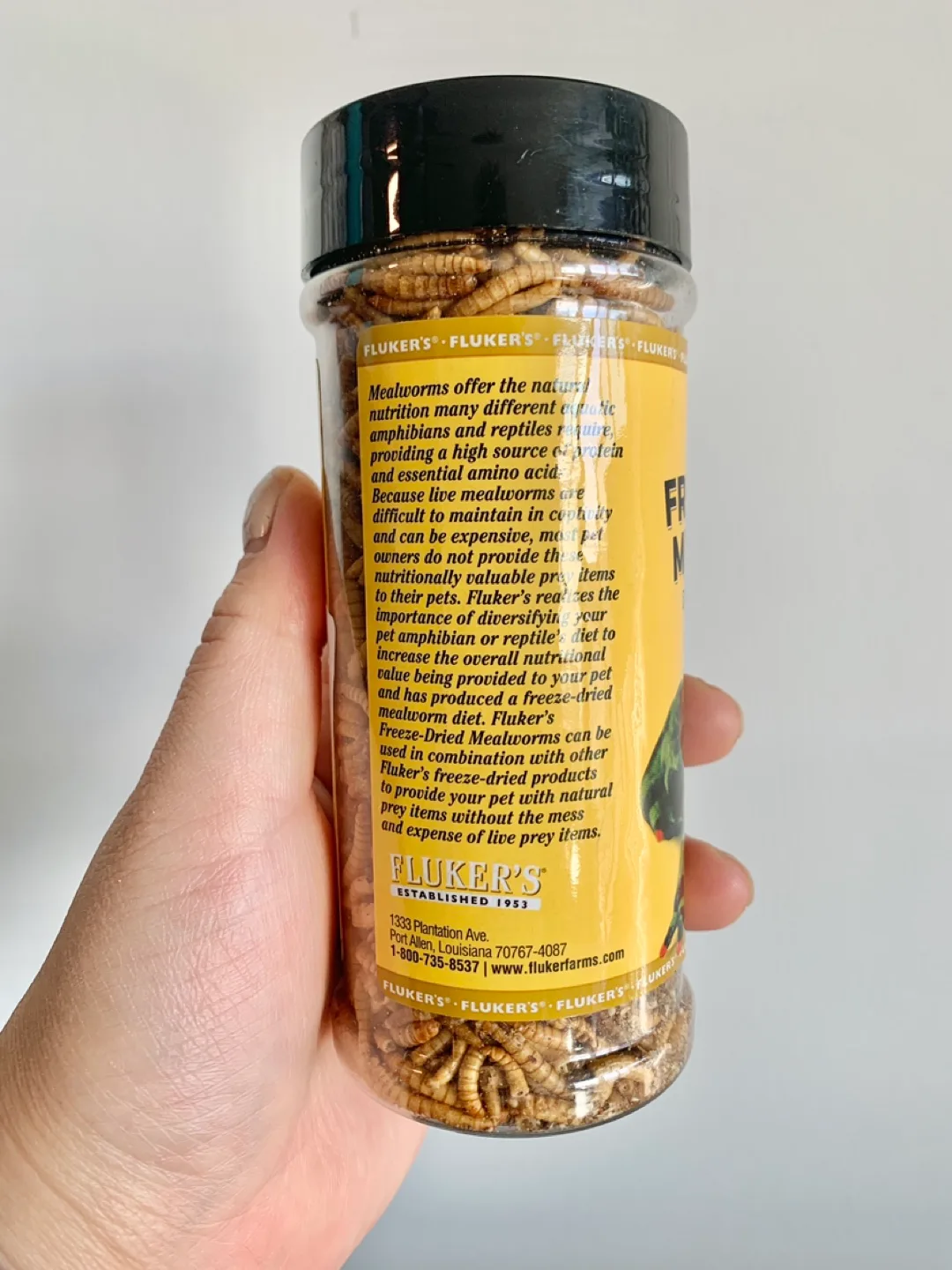 ‼️MUST-GO‼️ Fluker's Freeze Dried Mealworms image indicator(2)