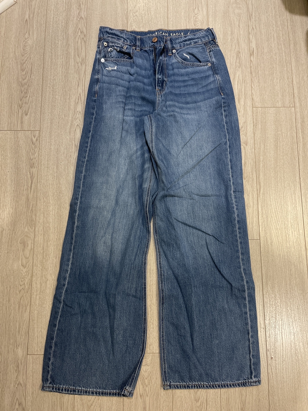 American Eagle Wide Leg Baggy Skater Jeans