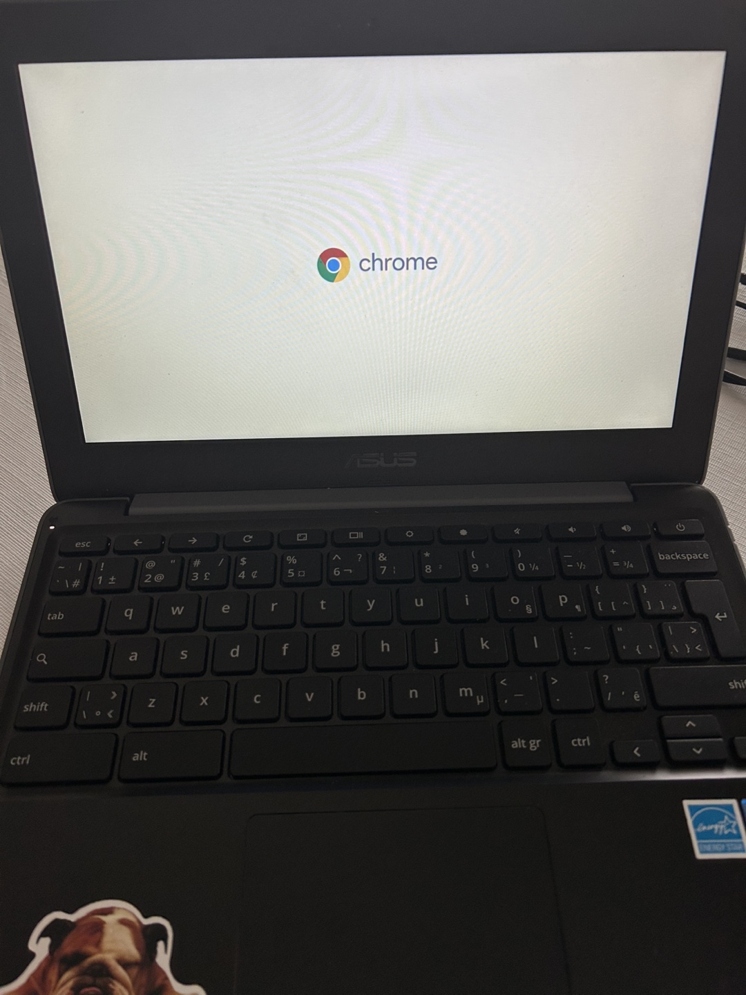 ASUS Chromebook - photo 3