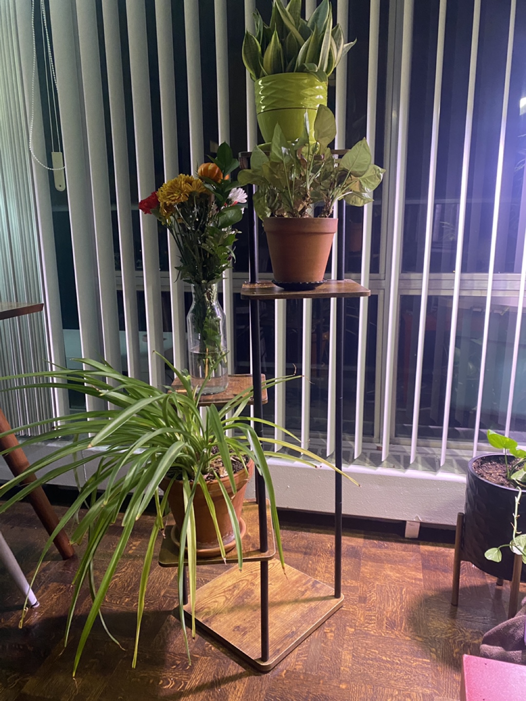 Plant Stand