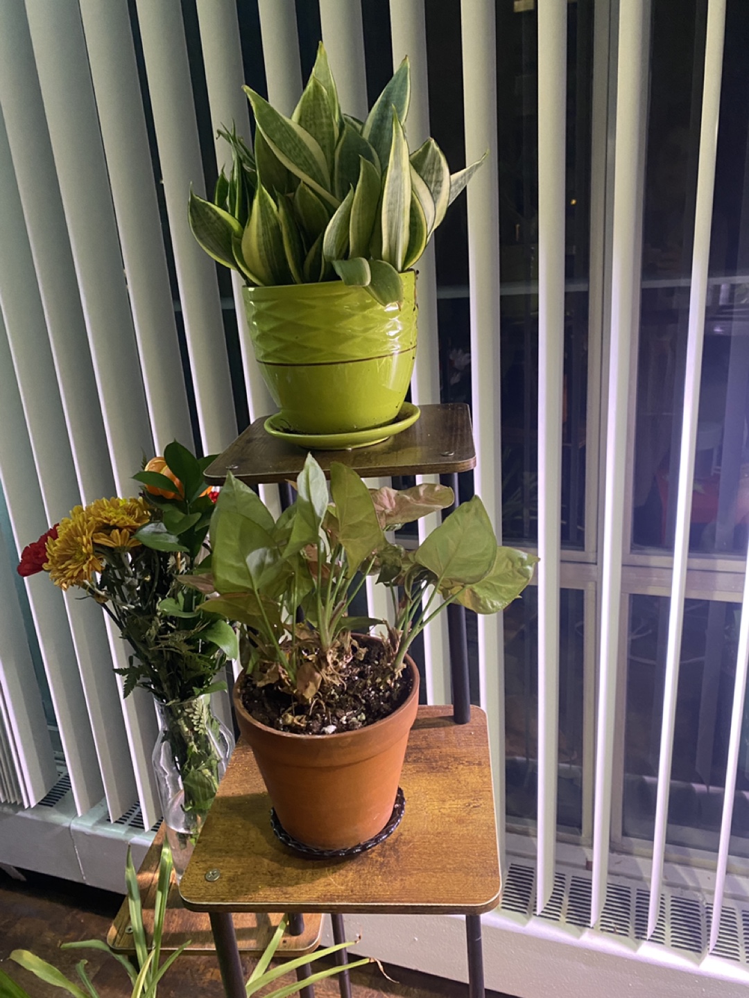 Plant Stand - photo 4