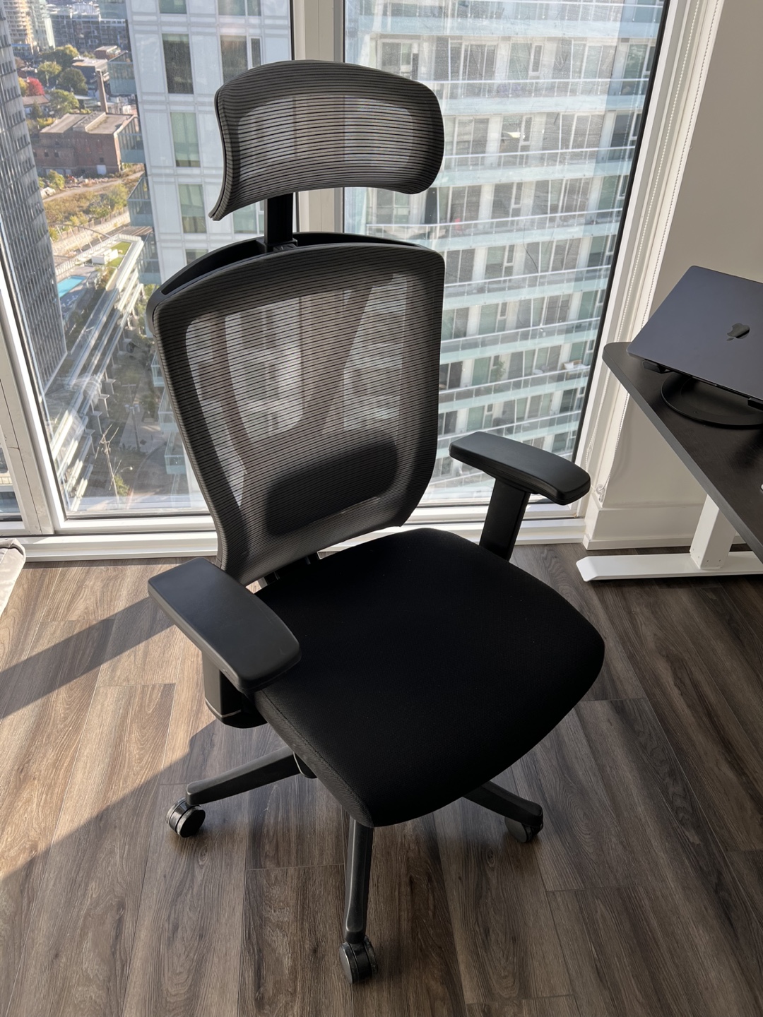 Ergonomic Office Chair