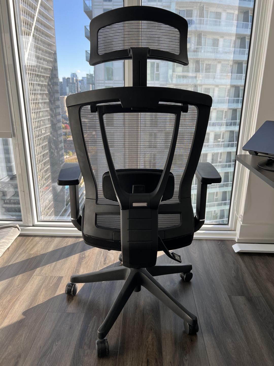 Ergonomic Office Chair - photo 3