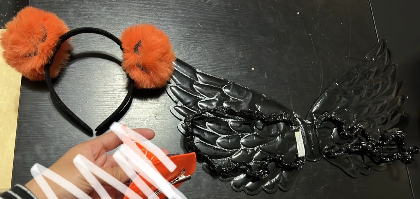 Halloween Costume Accessories #freecycle thumbnail