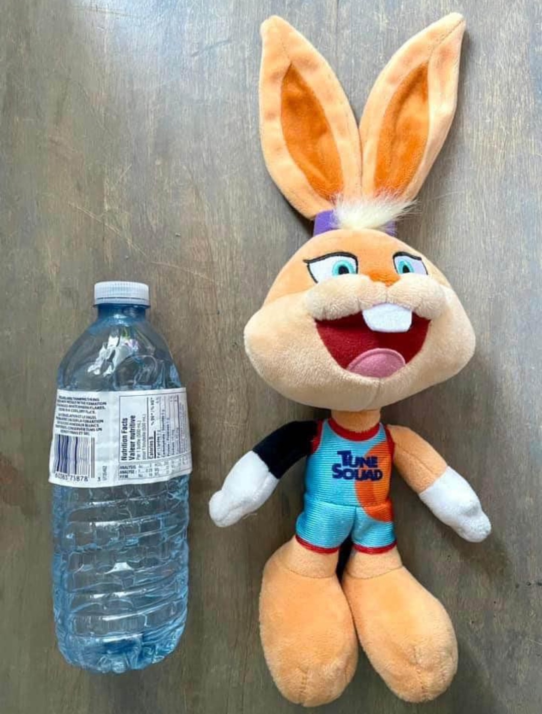 SPACE JAM LOLA New Legacy B-Ball Buddies Tune Squad Bunny Plush - photo 5