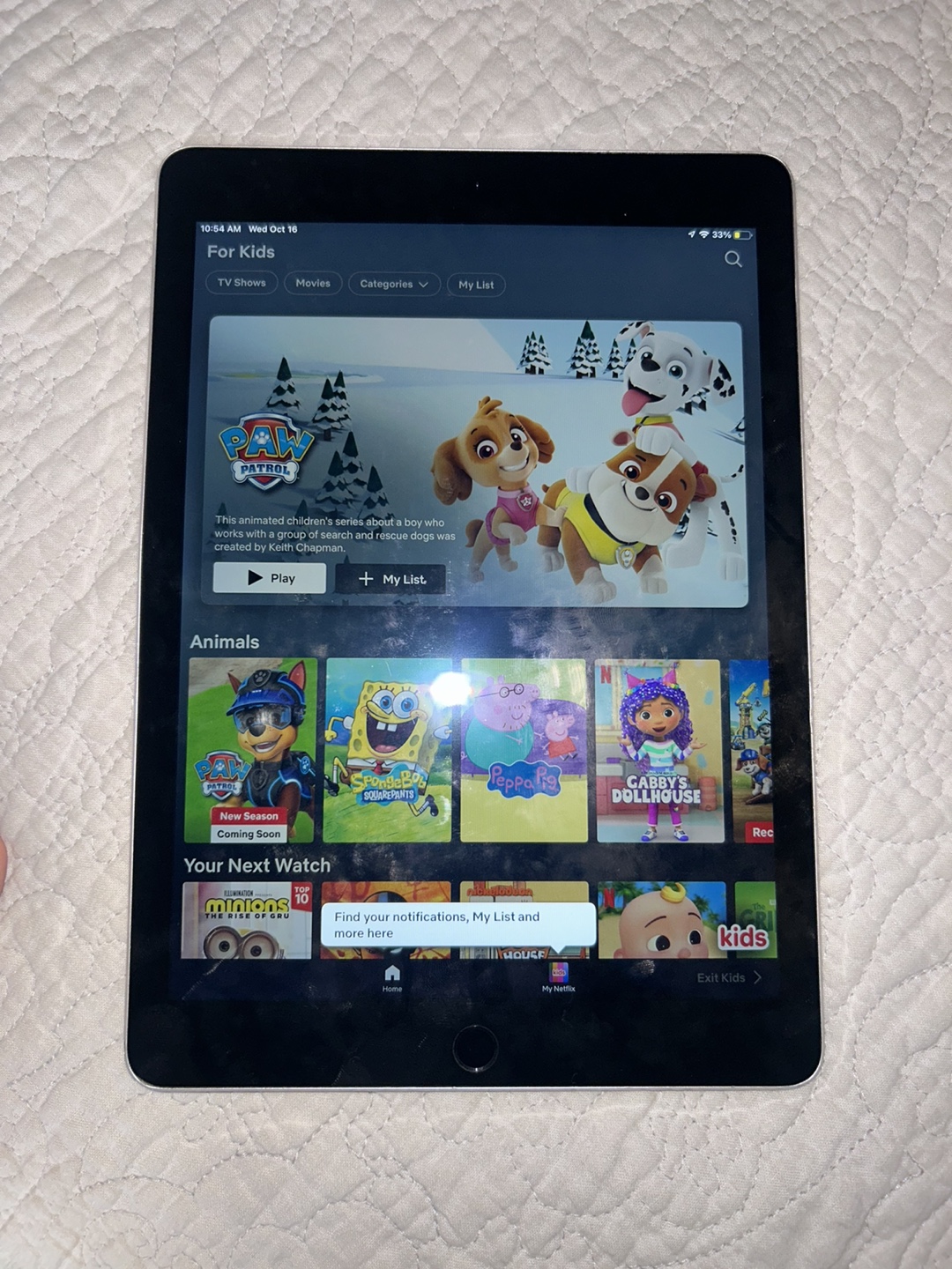 iPad (Older Model)