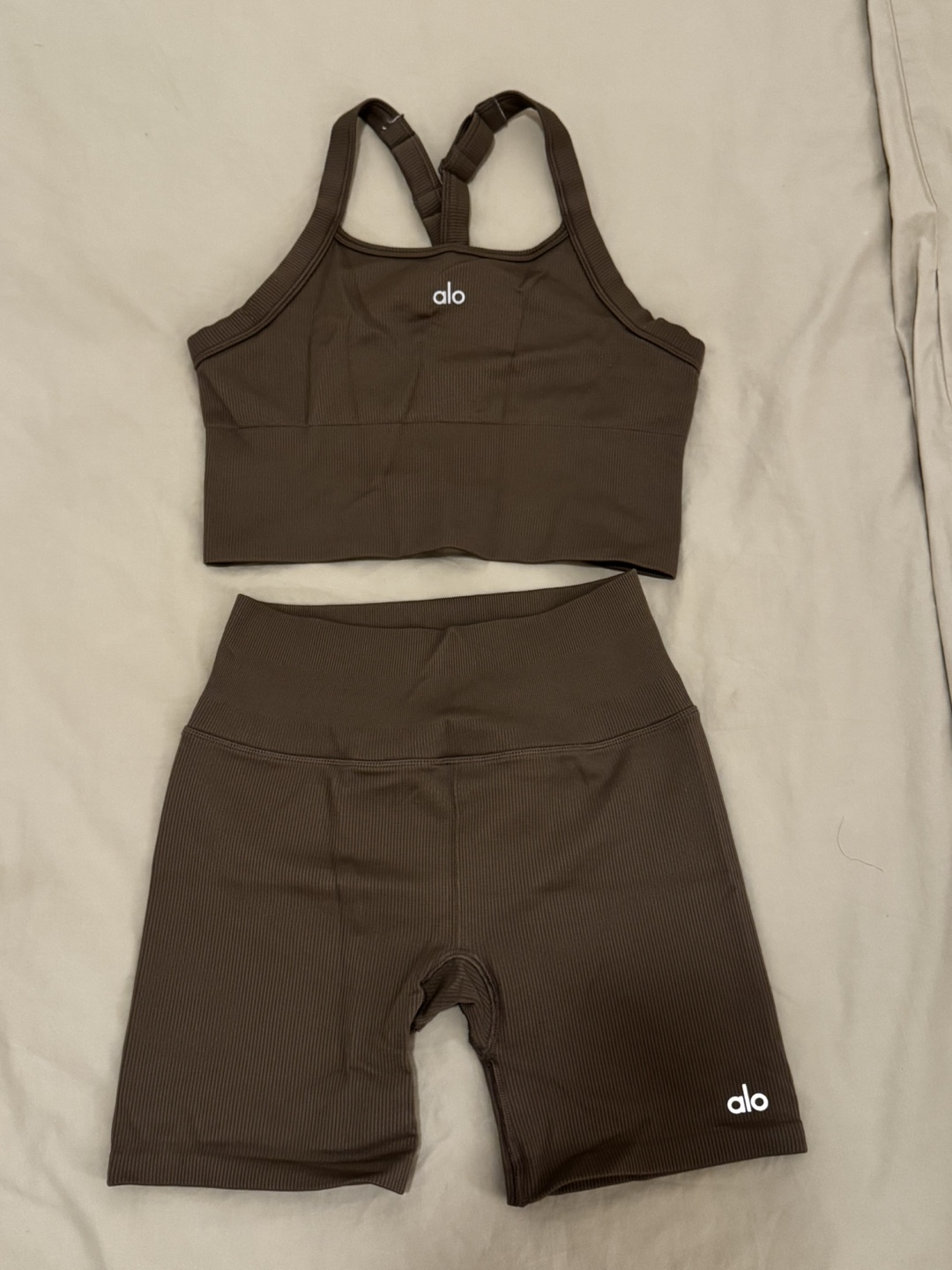 Alo Yoga Ribbed Bra and Shorts Set