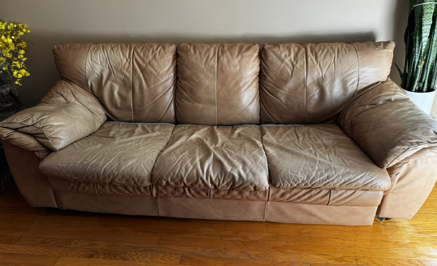 Leather Sofa and Chair Set