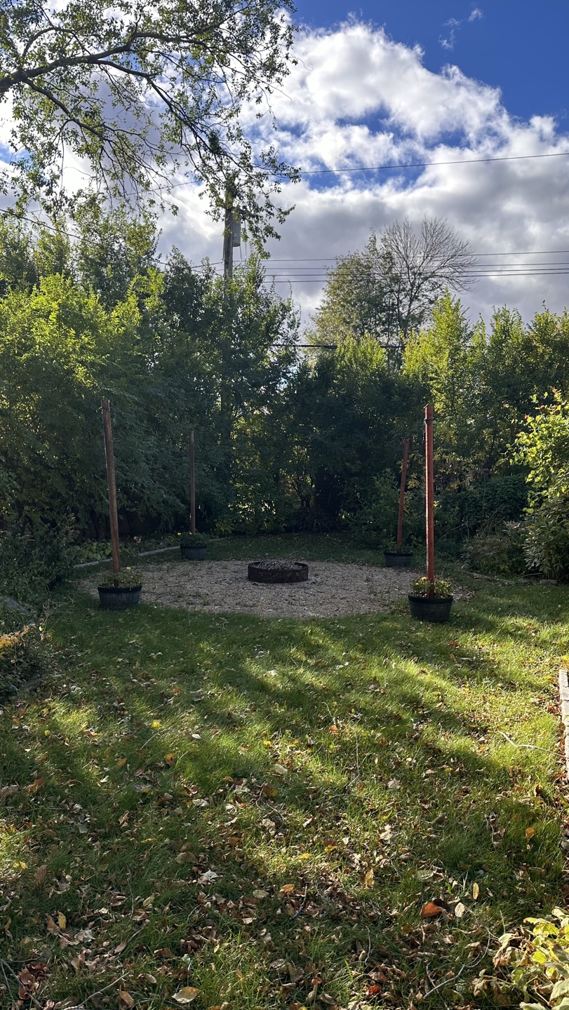 4 Wine barrel planters