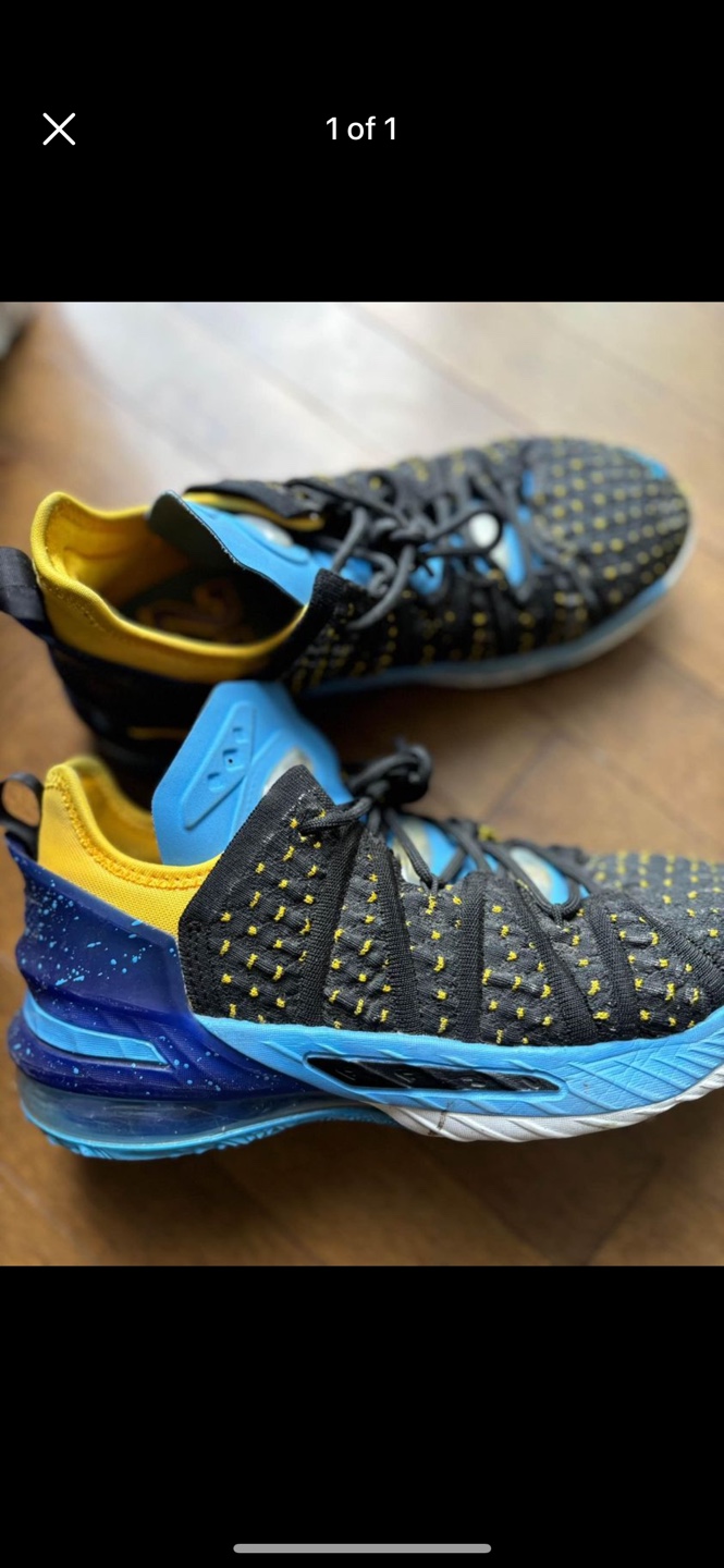Nike lebron shoes