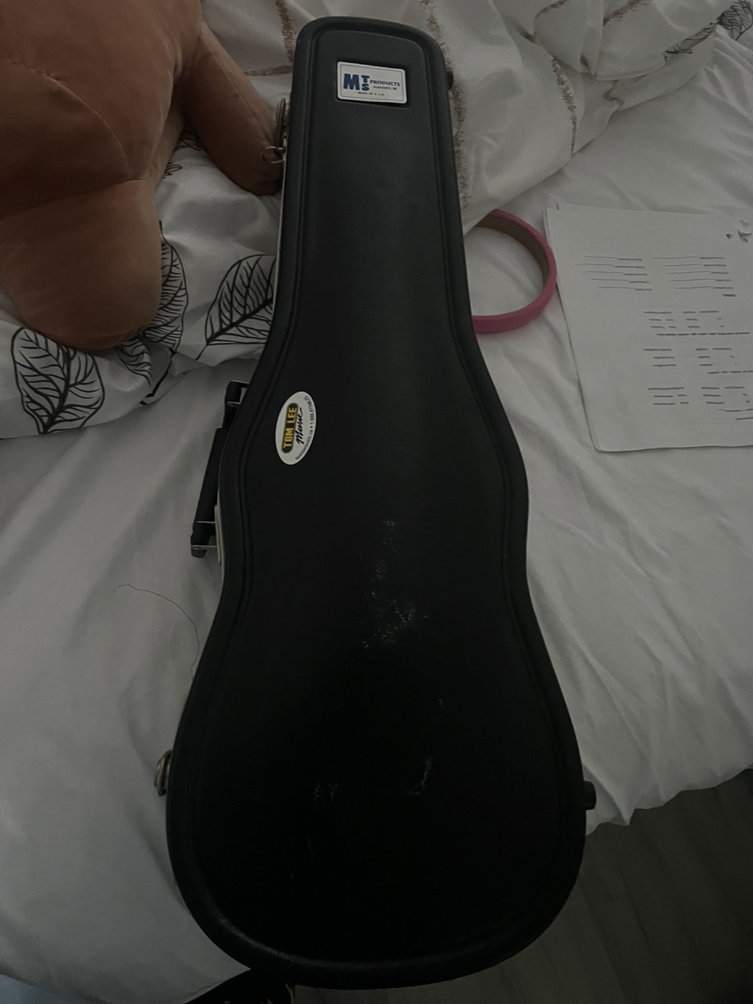 Violin Case