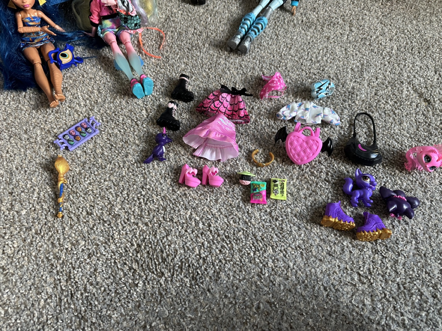 Monster High Dolls and Accessories - photo 4