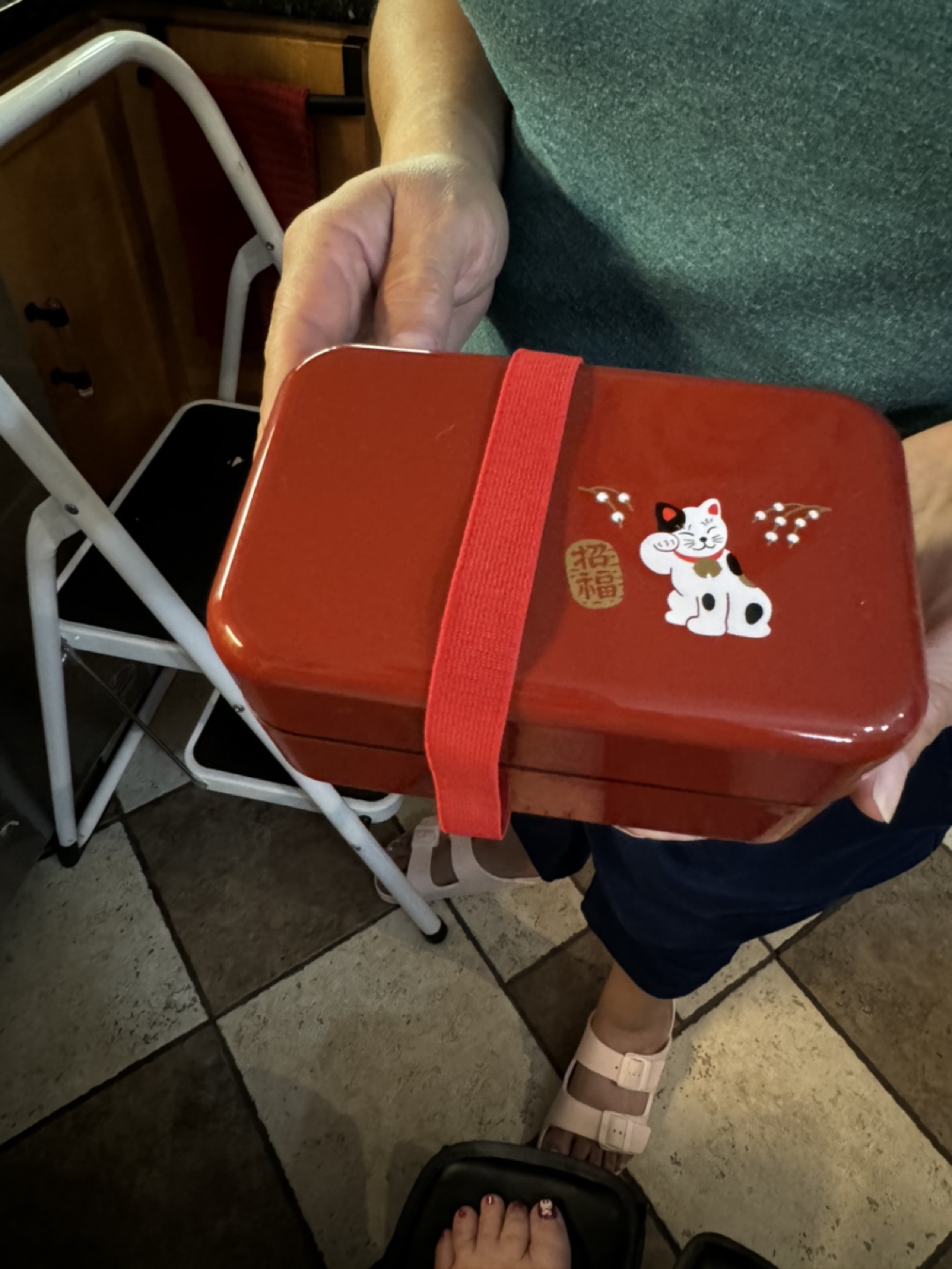 Red Bento Box with Cat