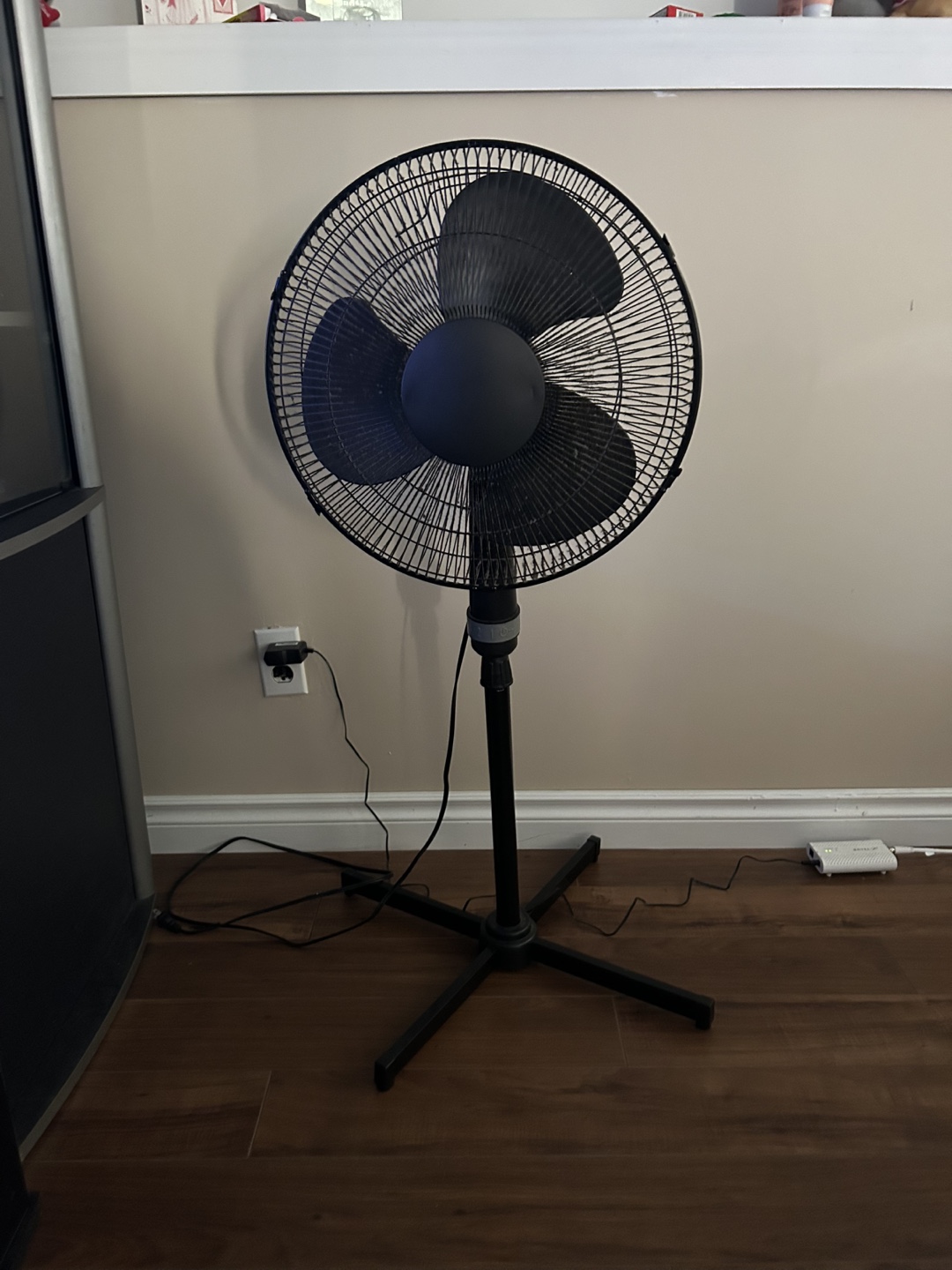 Standing Fan