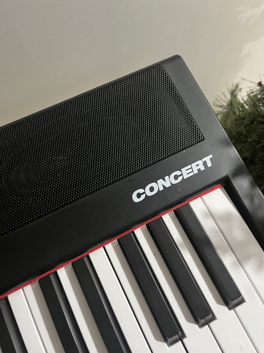 Alesis Concert 88 Key Digital Piano with keyboards stand - photo 3