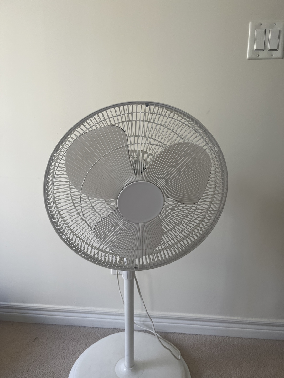 White Stand Fan
