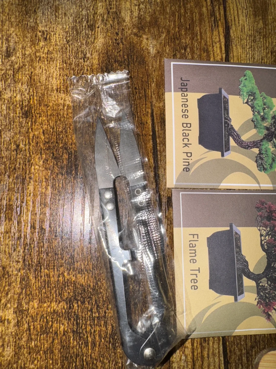 Bonsai Starter Kit image indicator(3)