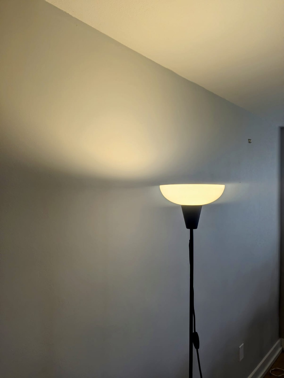 Pair of IKEA Floor Lamps with IKEA bulb