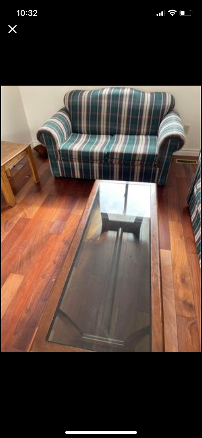 Loveseat and Sofa Set