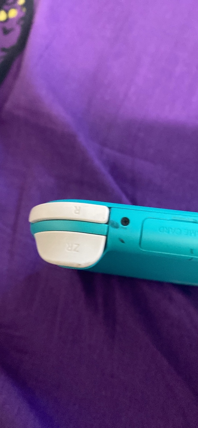(just RE LISTED) Nintendo Switch Lite comes with offical charger - photo 2