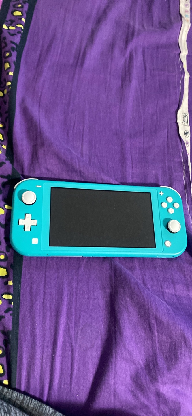 (just RE LISTED) Nintendo Switch Lite comes with offical charger - photo 5