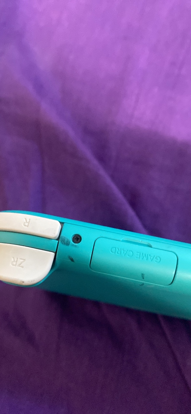 (just RE LISTED) Nintendo Switch Lite comes with offical charger