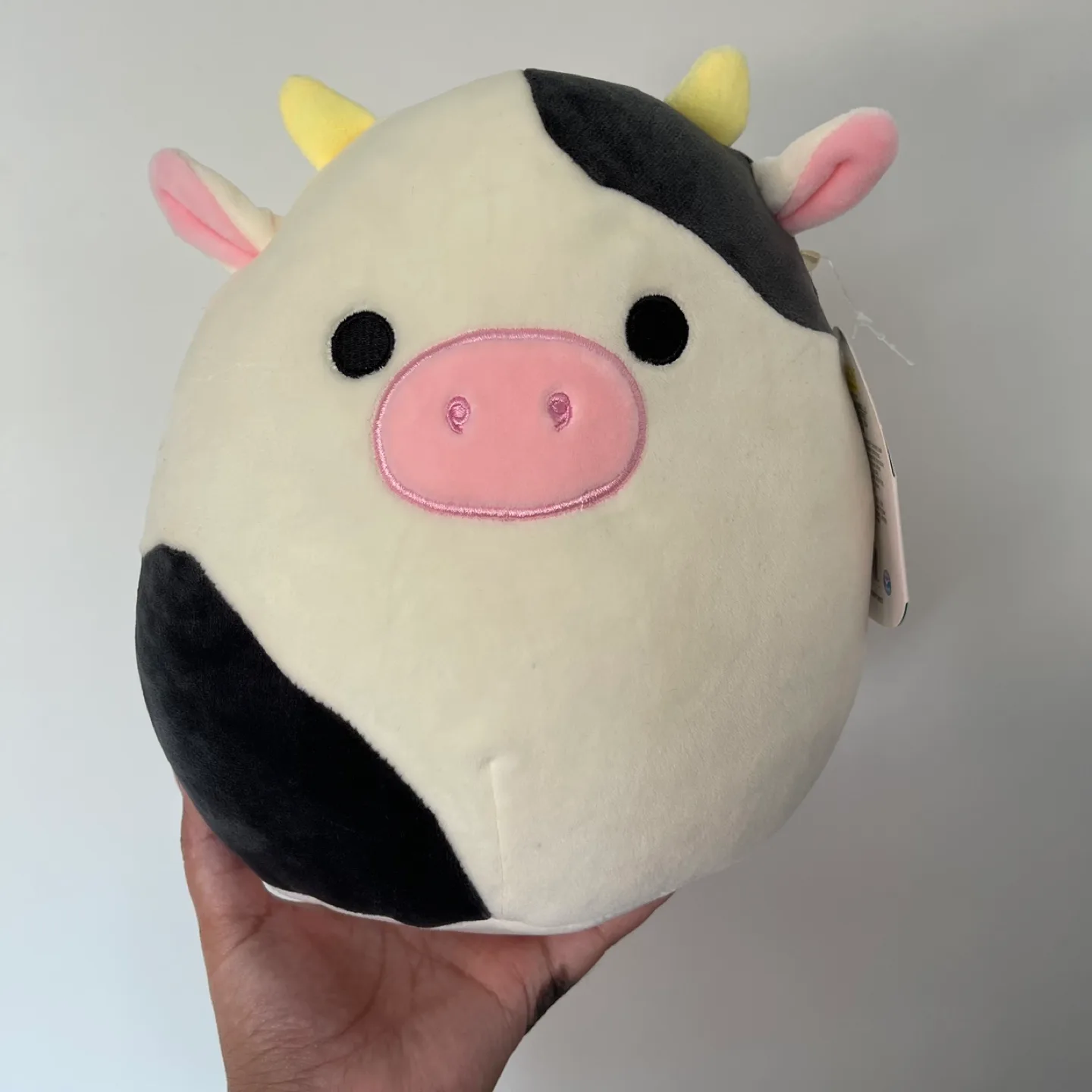 8” Connor Squishmallow thumbnail
