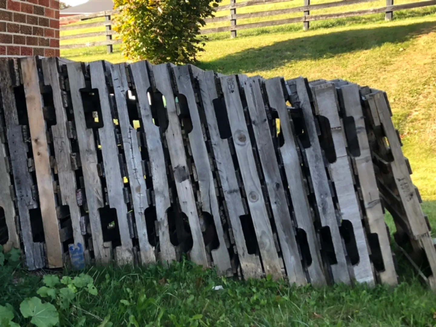 Wooden Pallets for Free image indicator(2)